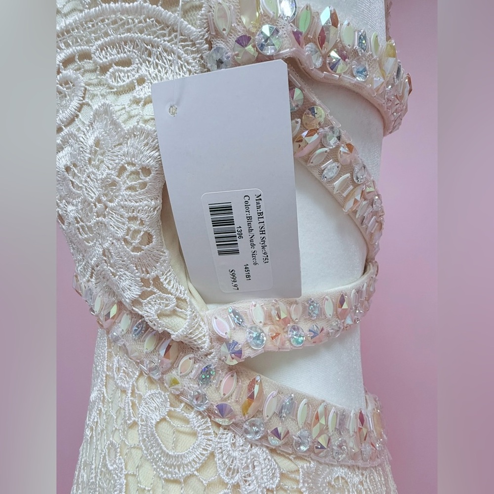 Stunning Lace Evening Gown - Picture 6 of 16